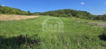 Ponúkame na predaj priestranný pozemok s rozlohou 1234 m² v 