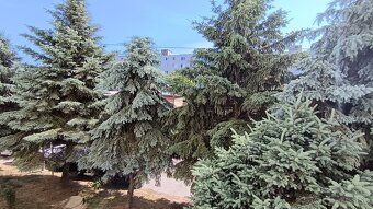 🏡 NA PREDAJ 2 izbový byt vo Vranove nad Topľou ✅ Rekonštrukc
