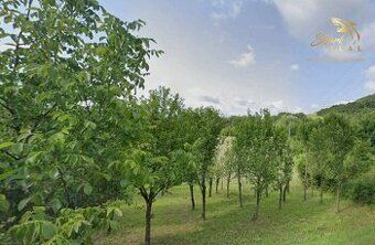 TUreality ponúka na predaj veľký pozemok s potenciálom v obc