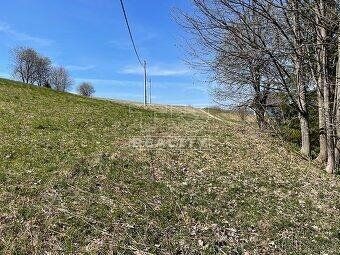 Ponúkam na predaj pozemky v obci Oravská Lesná 10438/1- 2530