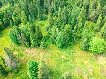 Spoločnosť Slovak Estate s.r.o. ponúka na predaj lesné pozem