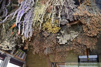 V očarujúcej prírode Devičian, v objatí lúk a viníc sa nachá