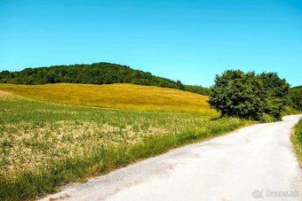 Spoločnosť Slovak Estate s.r.o. ponúka na predaj rozľahlý sl