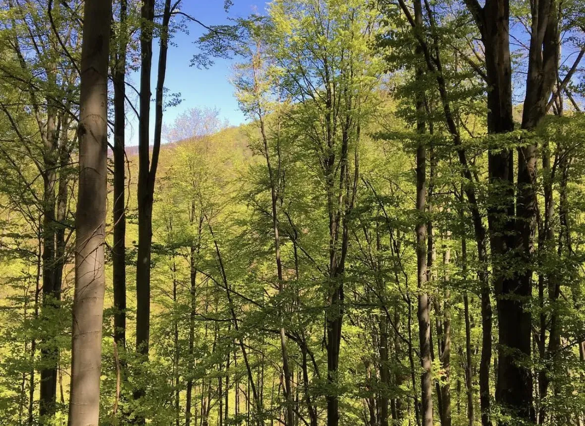 Spoločnosť Slovak Estate s.r.o. ponúka na predaj spoluvlastn