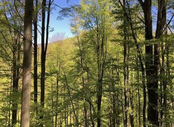 Spoločnosť Slovak Estate s.r.o. ponúka na predaj spoluvlastn