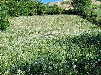 Ponúkam na predaj poľnohospodárske pozemky a to: 8,3 ha orne