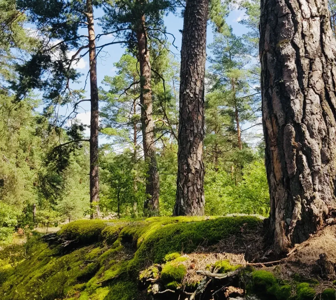 Spoločnosť Slovak Estate s.r.o. ponúka na predaj spoluvlastn