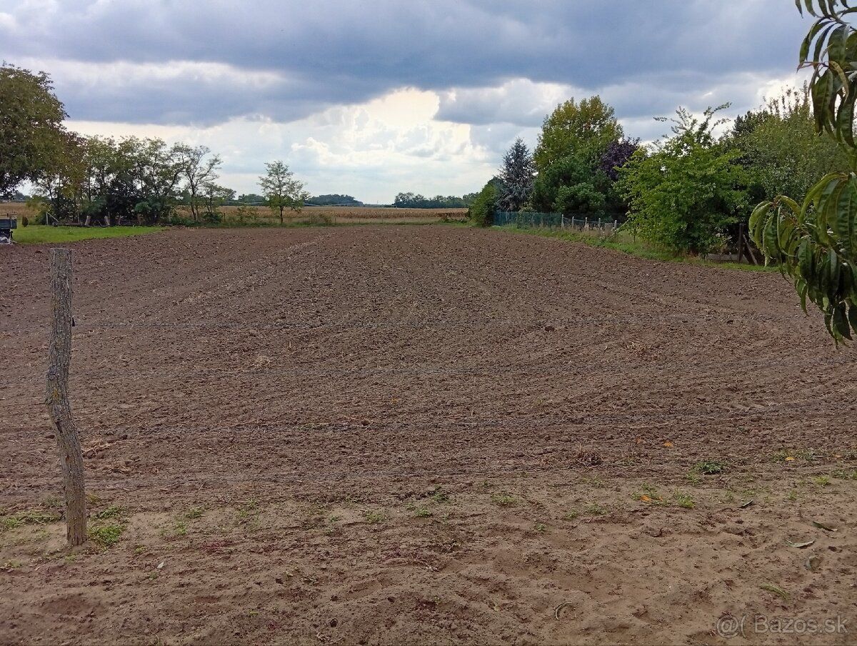 Predám približne 1500m2 stavebný pozemok v Hurbanove. Pozemo