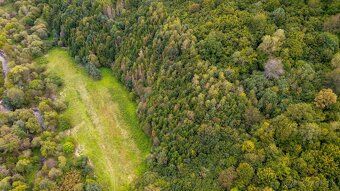 Spoločnosť Slovak Estate s.r.o. ponúka na predaj les v podie