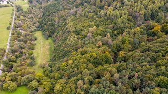 Spoločnosť Slovak Estate s.r.o. ponúka na predaj les v podie