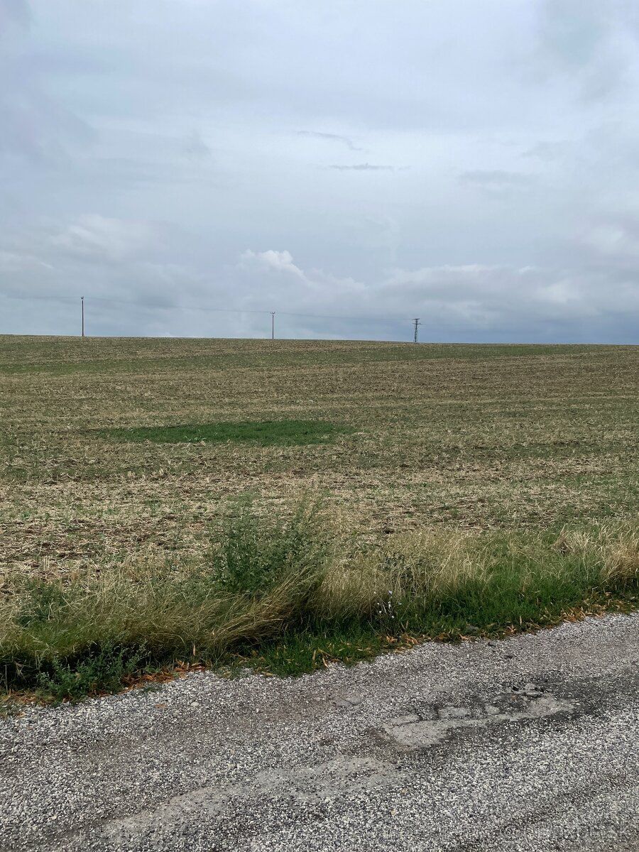 Predám 3128m2 veľký stavebný pozemok vo Veľkých Bedzanoch.As