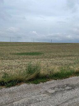 Predám 3128m2 veľký stavebný pozemok vo Veľkých Bedzanoch.As