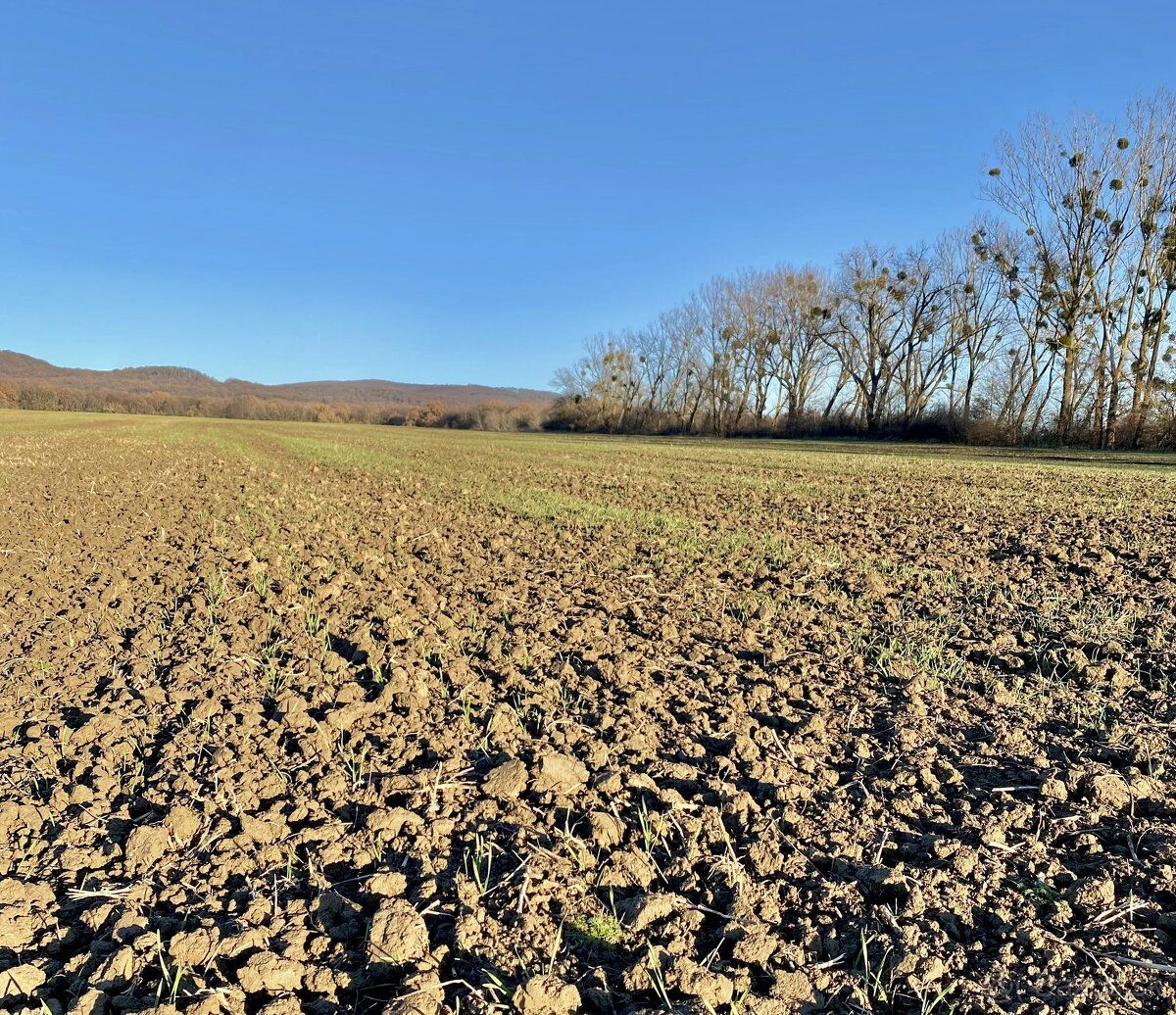 Spoločnosť Slovak Estate s.r.o. ponúka na predaj poľnohospod