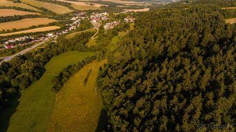 Spoločnosť Slovak Estate s.r.o. ponúka na predaj lesný pozem