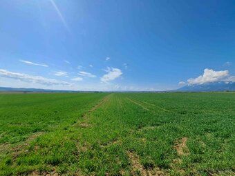 Spoločnosť Slovak Estate s.r.o. ponúka na predaj poľnohospod