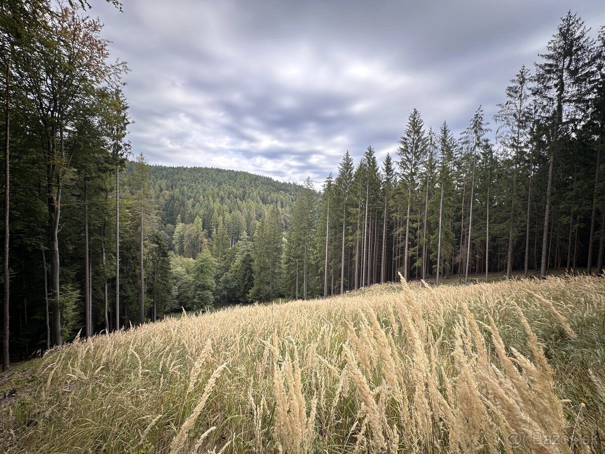 Spoločnosť Slovak Estate s.r.o. ponúka na predaj spoluvlastn
