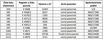 Spoločnosť Slovak Estate s.r.o. ponúka na predaj lesné pozem