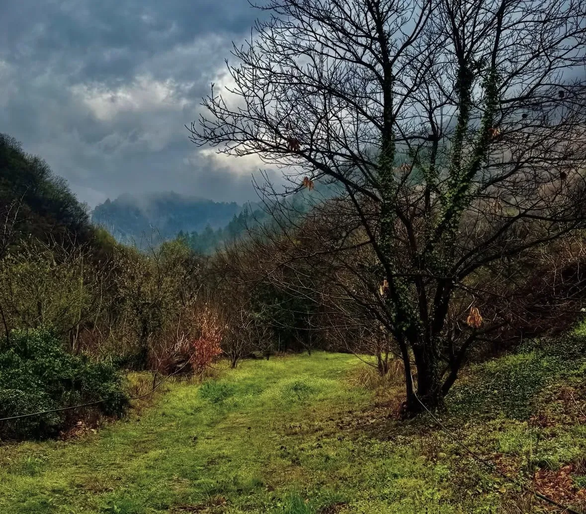 Spoločnosť Slovak Estate s.r.o. ponúka na predaj spoluvlastn