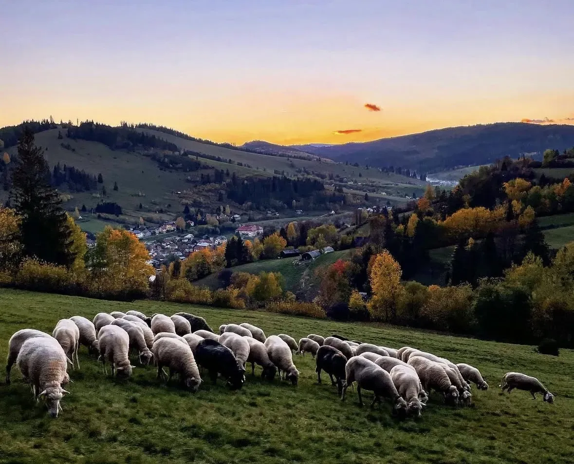 Spoločnosť Slovak Estate s.r.o. ponúka na predaj spoluvlastn