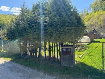 Záhrada s chatou,altankom,dielnou a foliovnikom a pozemkom c