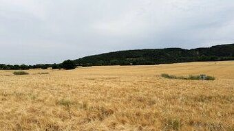 Spoločnosť Slovak Estate s.r.o. ponúka na predaj spoluvlastn