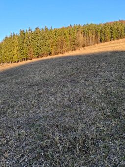 Predám slnečný pozemok 1719m2 v obci Bodina. Cena dohodou. R