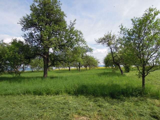 Na predaj sú 2 x stavebný pozemok 20 km od Košíc.
 Popis: po