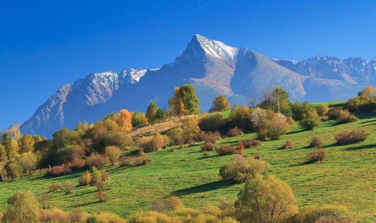 Spoločnosť Slovak Estate s.r.o. ponúka na predaj spoluvlastn