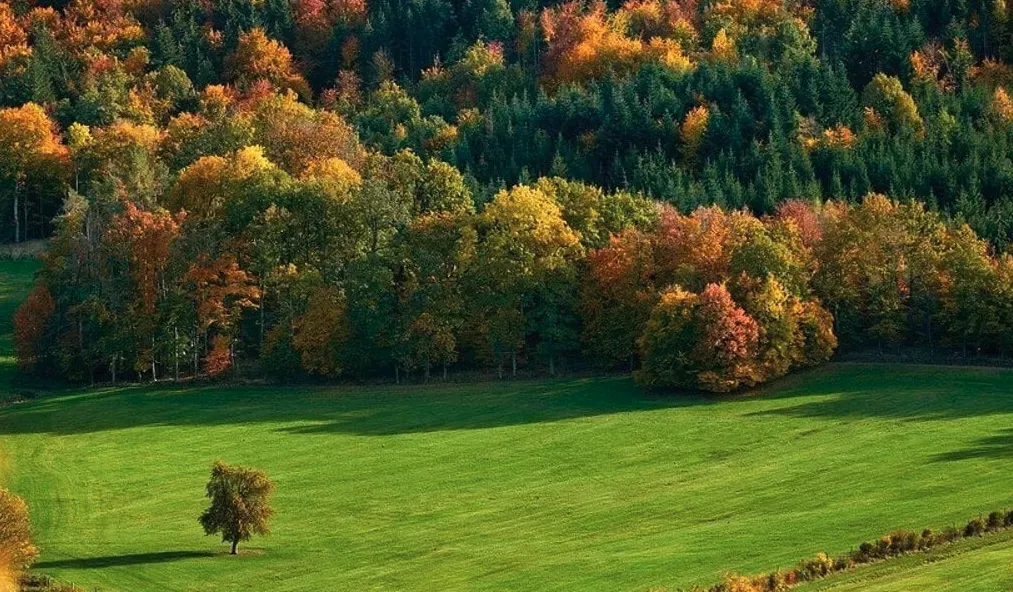 Spoločnosť Slovak Estate s.r.o. ponúka na predaj spoluvlastn