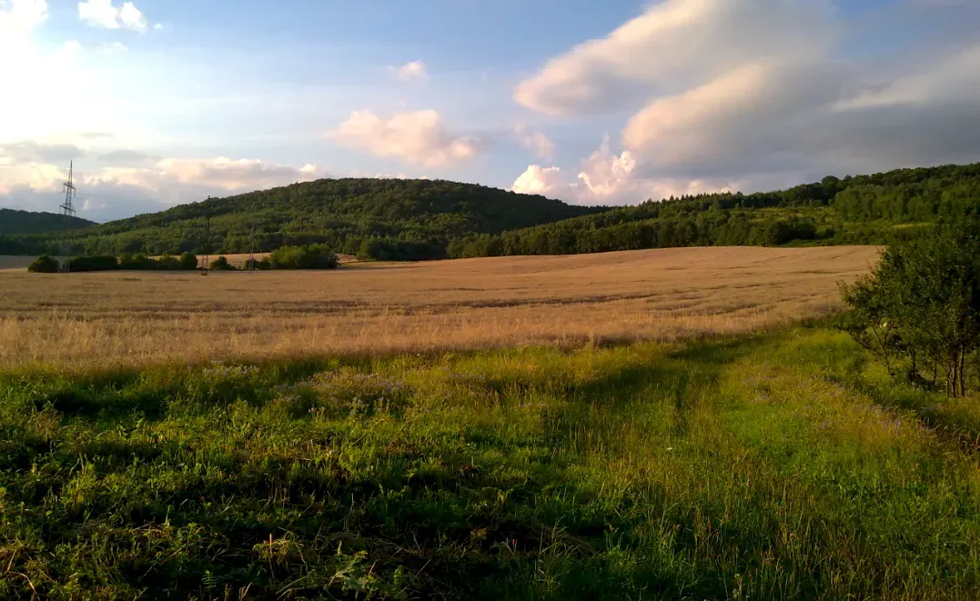 Spoločnosť Slovak Estate s.r.o. ponúka na predaj spoluvlastn