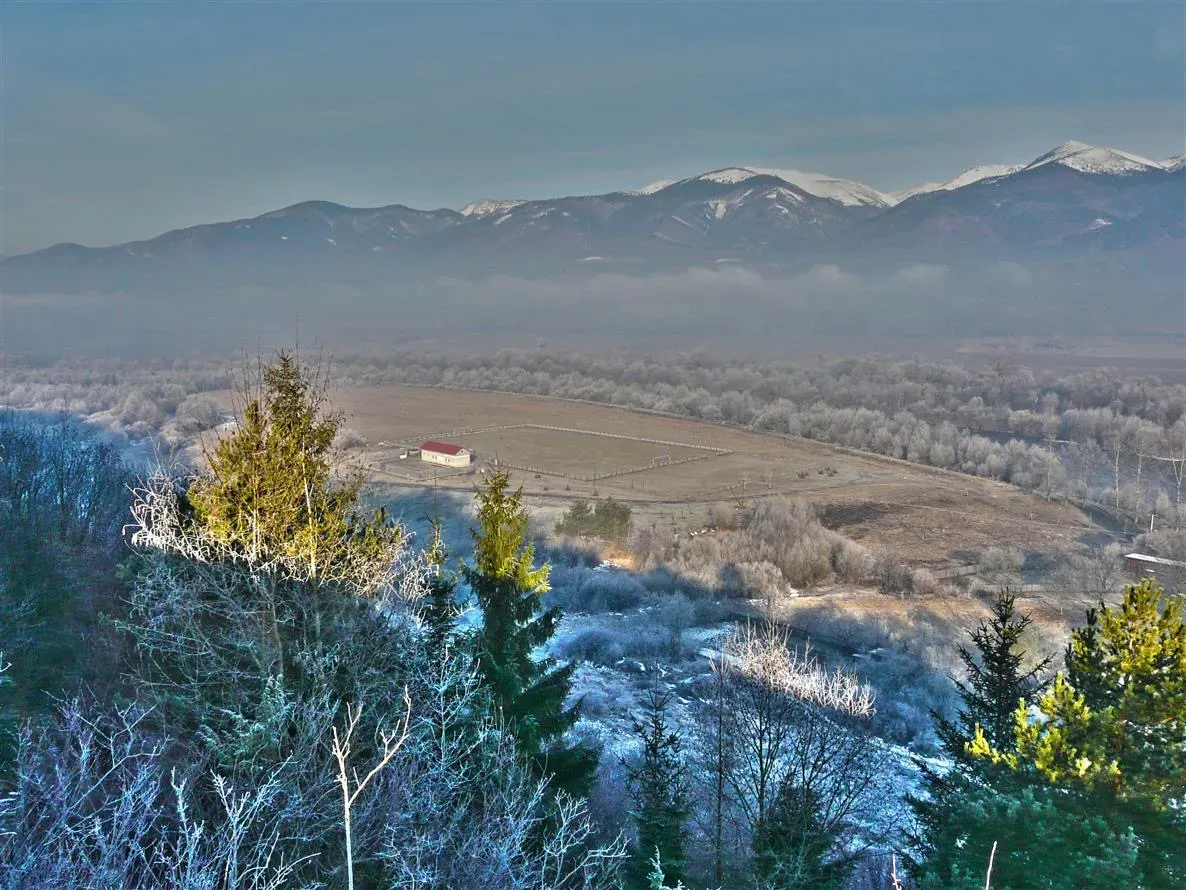 Spoločnosť Slovak Estate s.r.o. ponúka na predaj les v podie