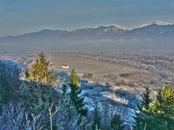 Spoločnosť Slovak Estate s.r.o. ponúka na predaj les v podie