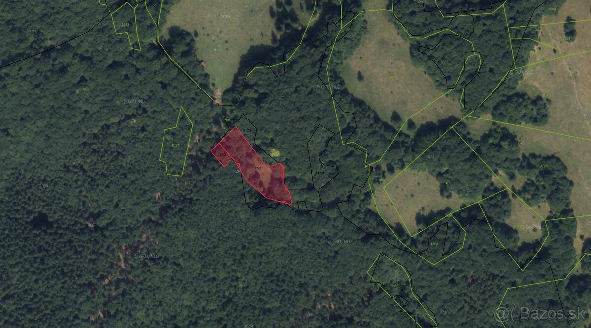 Spoločnosť Slovak Estate s.r.o. ponúka na predaj les v podie