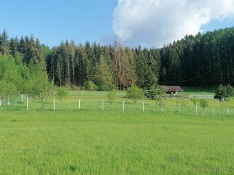REKREAČNÉ POZEMKY PRI LESE – VIŠŇOVÉ PRI ŽILINE Vlastný kúso
