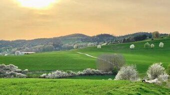 Spoločnosť Slovak Estate s.r.o. ponúka na predaj spoluvlastn