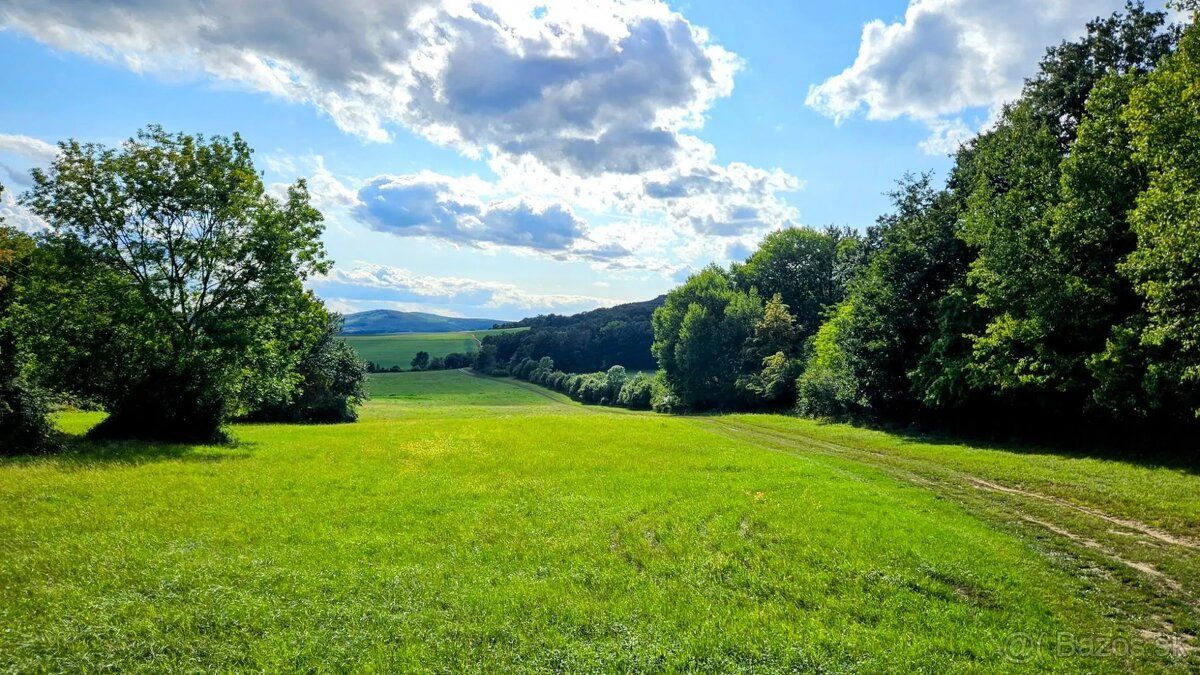 Spoločnosť Slovak Estate s.r.o. ponúka na predaj spoluvlastn