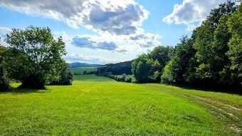 Spoločnosť Slovak Estate s.r.o. ponúka na predaj spoluvlastn