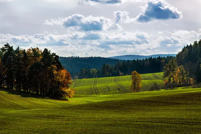 Spoločnosť Slovak Estate s.r.o. ponúka na predaj spoluvlastn