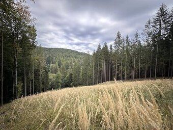 Spoločnosť Slovak Estate s.r.o. ponúka na predaj spoluvlastn
