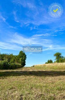 Realitná kancelária HALO reality a Ing. Miloš Kubica, kontak