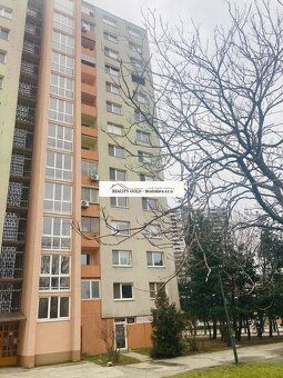 REALITY GOLD _ Bratislava s.r.o. ponúka na prenájom priestra
