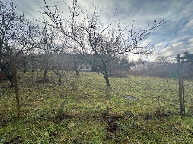 Predám záhradu v Košických Olšanoch o výmere 392 m2 v záhrad