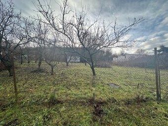 Predám záhradu v Košických Olšanoch o výmere 392 m2 v záhrad