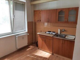 Celkové nájomné za jeden mesiac je: 250 Eur + elektrina.
Gar