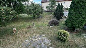 Ponúkame na predaj pozemok v obci Kokošovce vhodný na budúcu