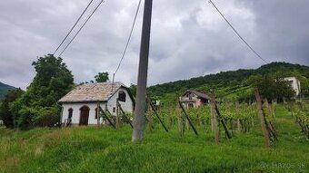 Predám vinný domček s pivnicou a vinohradom. Pozemok sa nach
