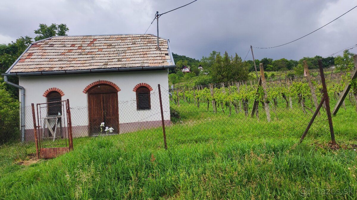 Predám vinný domček s pivnicou a vinohradom. Pozemok sa nach