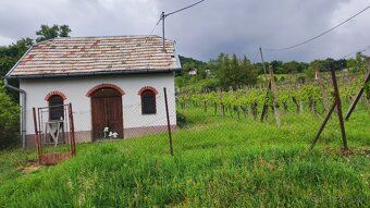 Predám vinný domček s pivnicou a vinohradom. Pozemok sa nach