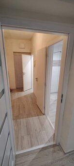 Prenajmem nezariadený 2 izbový byt v centre mesta Nitra na Š