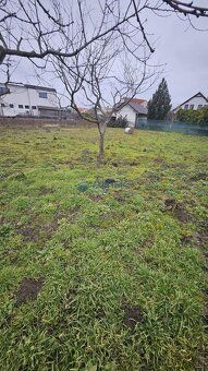 Ponúkame Vám na predaj rovinatý pozemok v blízkosti Bratisla